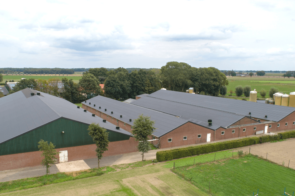 Ein kühler Stall im Sommer